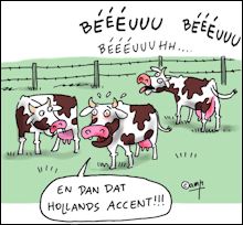 Cartoon: twee koeien staan in de wei en kijken treurig naar een derde koei die 'BEEEUUU BEEEUUU BEEEUUUHH' loeit; zegt de ene koe tegen de andere: 'en dan dat Hollands accent!!!'